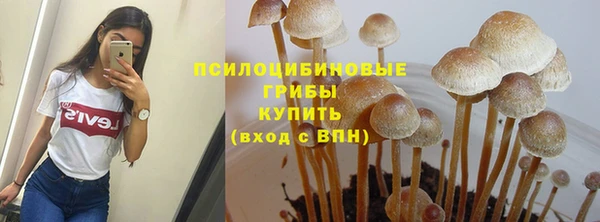 mdpv Бородино