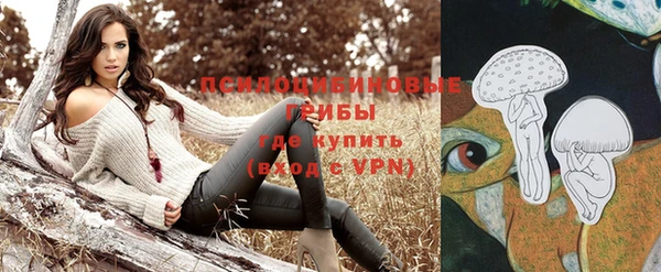 ALPHA PVP Верея