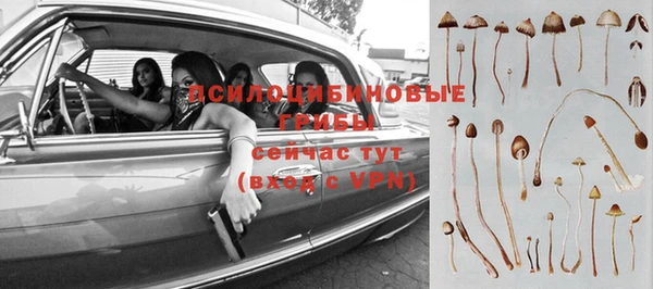 СК Верхний Тагил