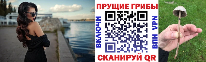 купить сайты Хабаровск mega онион Псилоцибиновые грибы мухоморы
