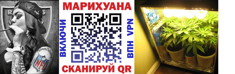 как найти   гидра вход  Марихуана SATIVA & INDICA  Хабаровск 